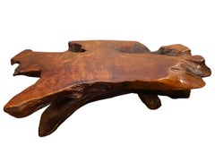 Magnificent Sequoia coffee table from the north America, Circa 60.
