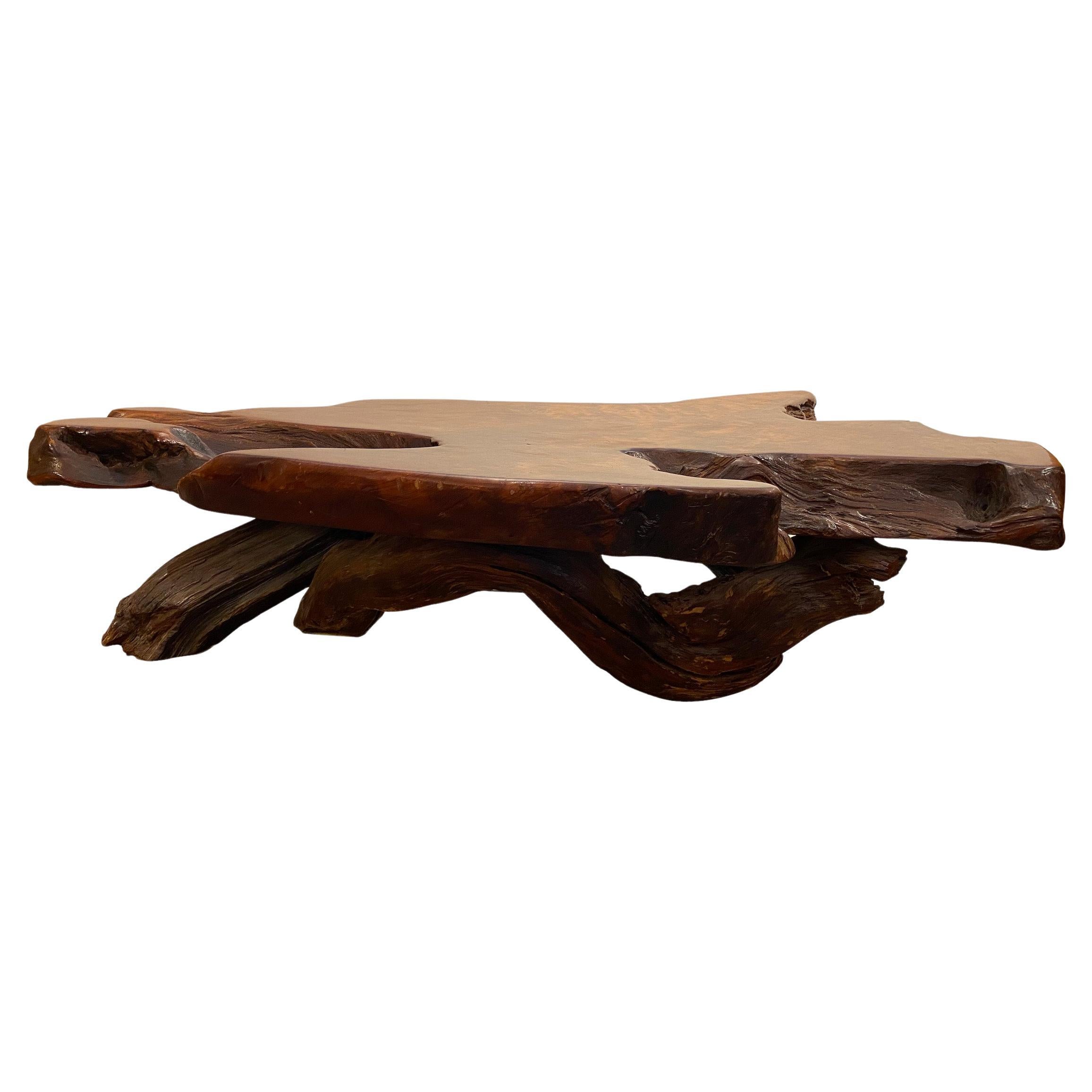 Magnificent Sequoia coffee table from the north America, Circa 60.
