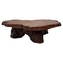 Magnífica mesa de centro Sequoia del norte de América