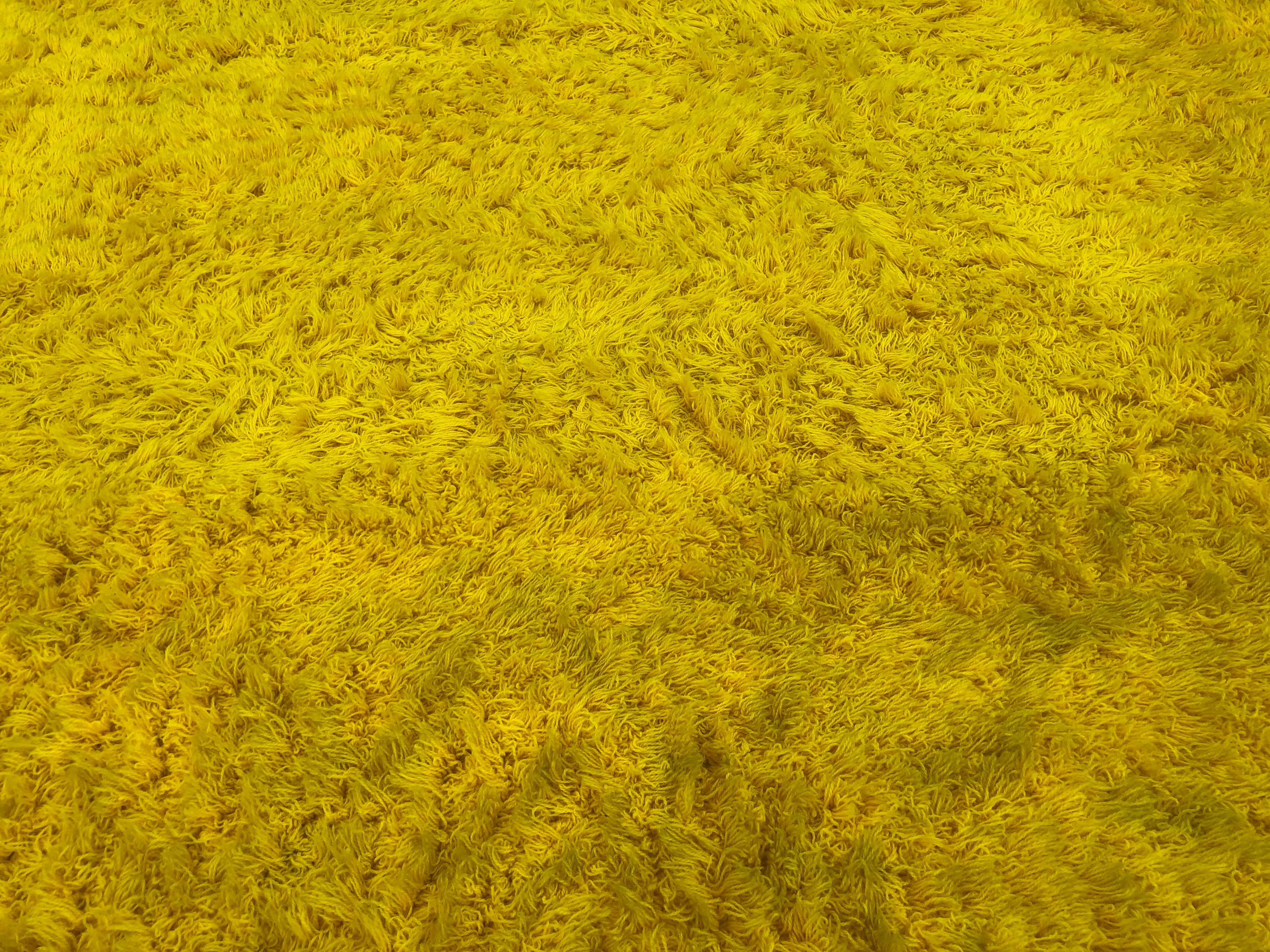 Hand-Knotted Magnificent XL Room Size Canary Yellow Shag Pile Rug, Circa 60's For Sale