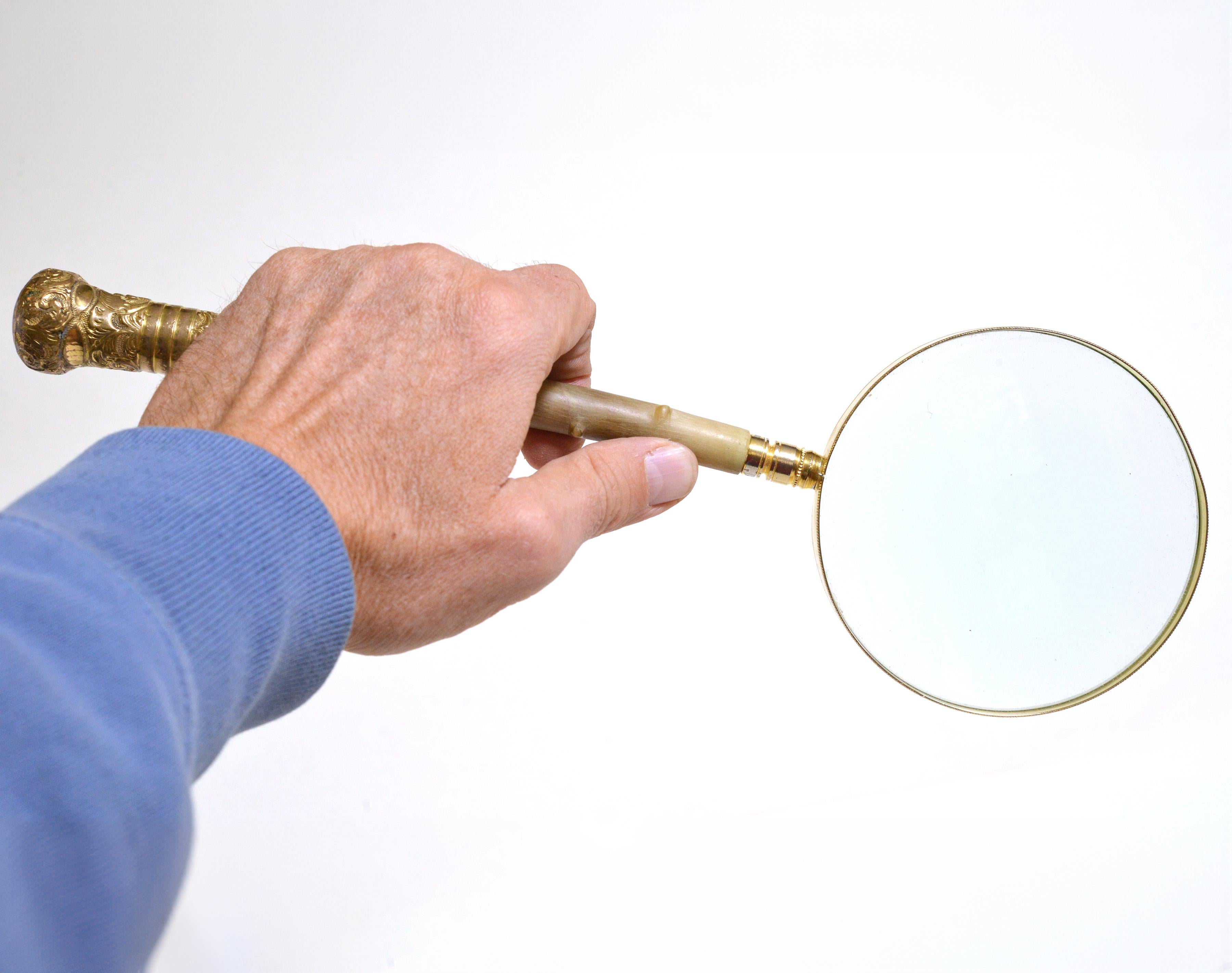The magnifying glass, a tool that has been an essential part of human history for centuries, has undergone numerous transformations in its design and materiality. The combination of horn, embossed brass, and gold plating creates a visually stunning