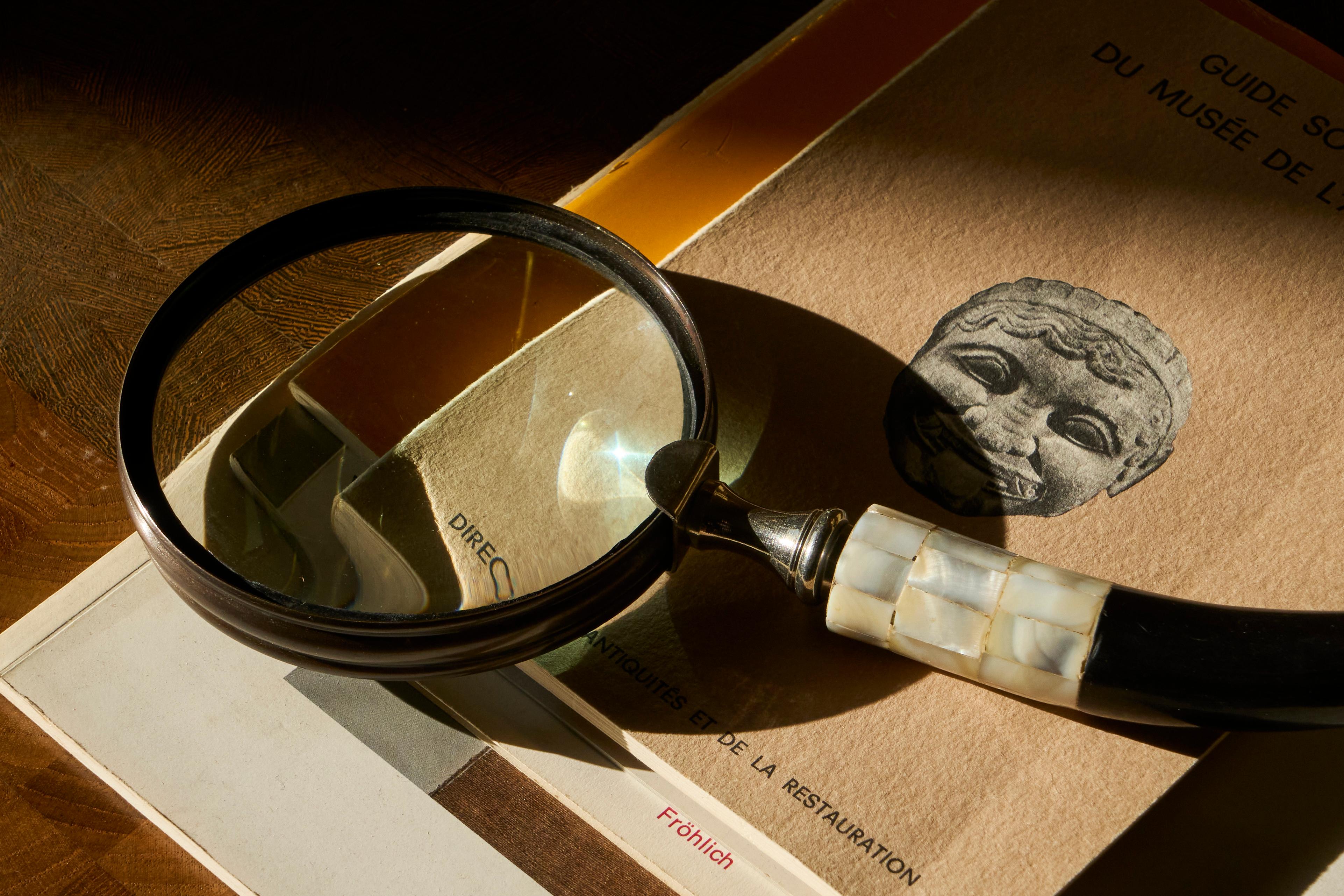 Loupe en nacre et Wood Wood massif années 1920 en vente 1