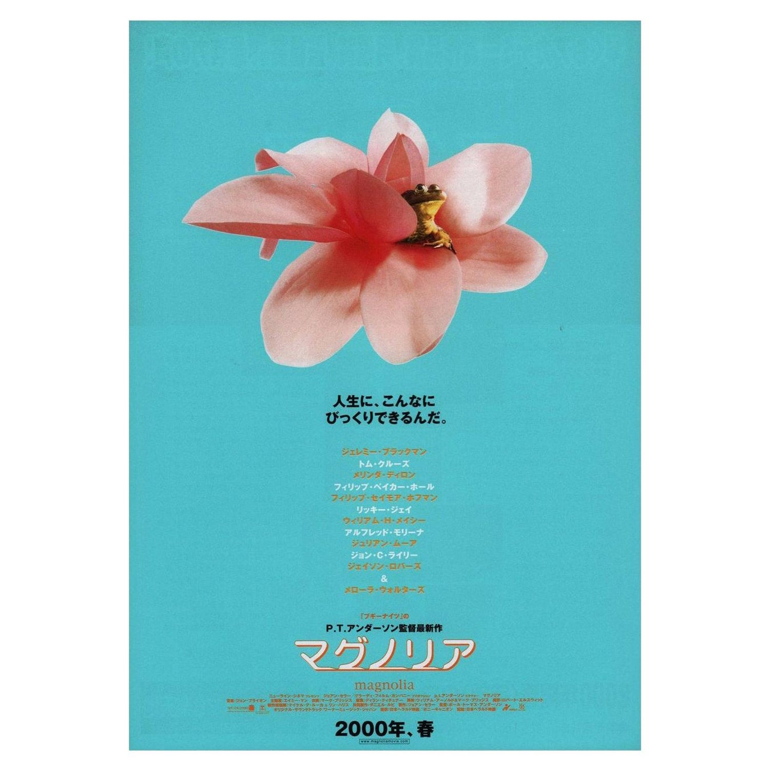 Bad Education 04 Japanese B5 Chirashi Flyer For Sale At 1stdibs