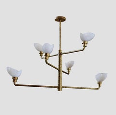 MAGNOLIA Chandelier By Phoenix