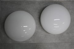 Magnolia Lamps by Sergio Mazza for Quattrifolio, Italy, 1971, Set of 2