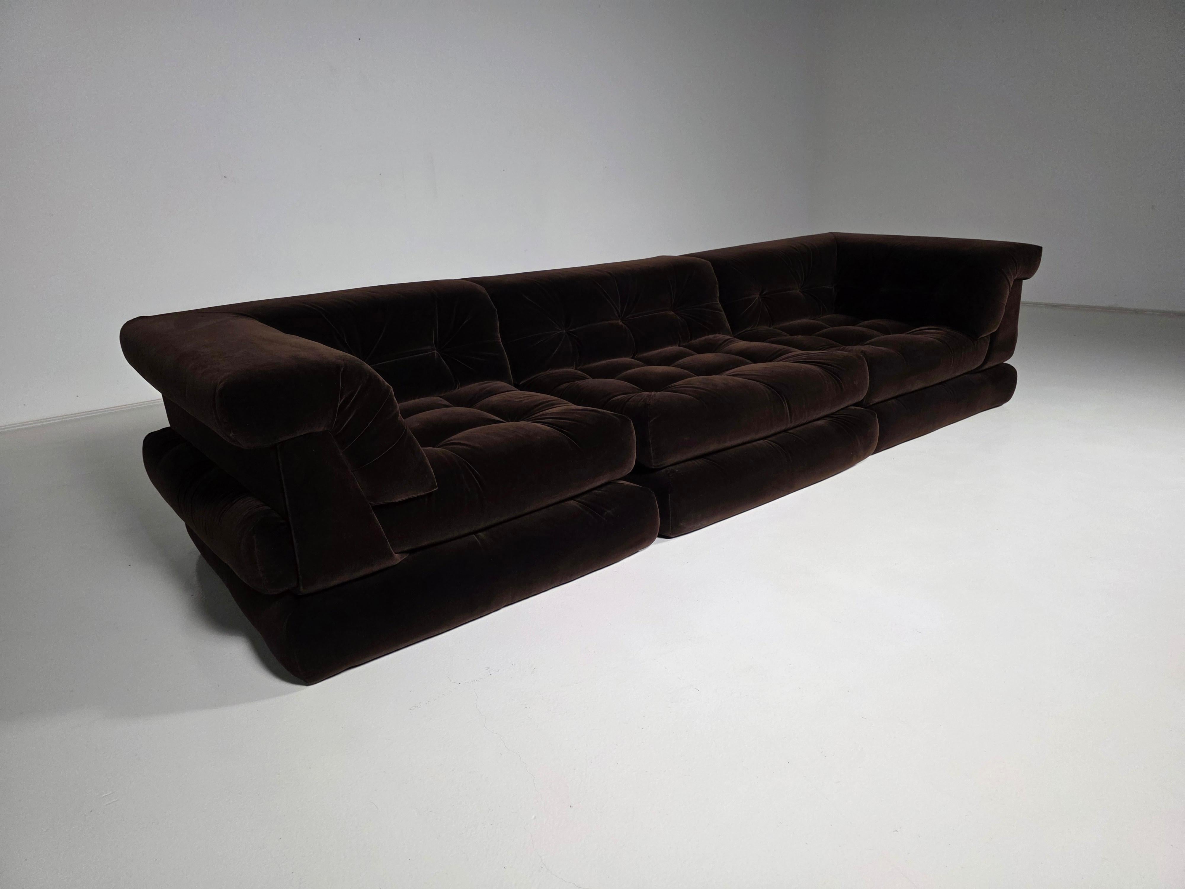Fine XX secolo Mah Jong sofa in dark brown cotton velvet  by Roche Bobois, France, 1970s in vendita
