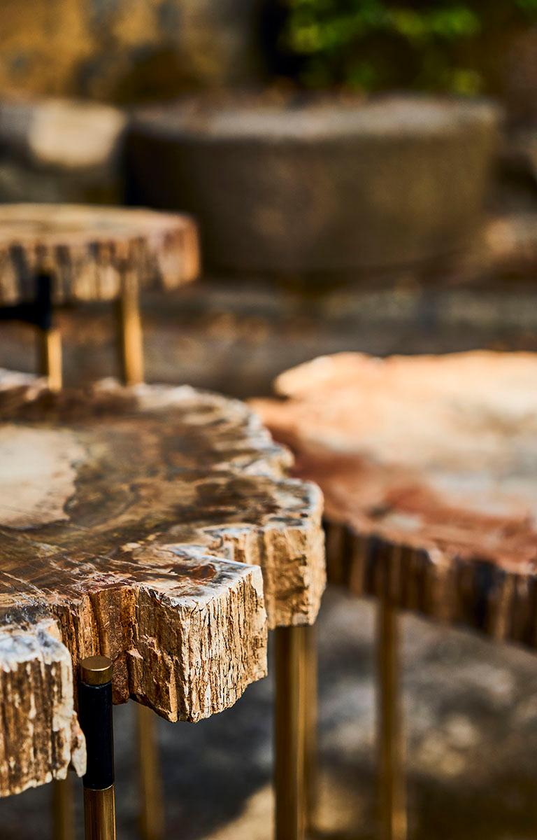 Petrified Wood Maha Table For Sale