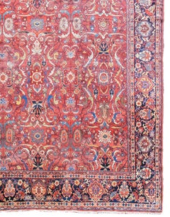 Mahal Carpet