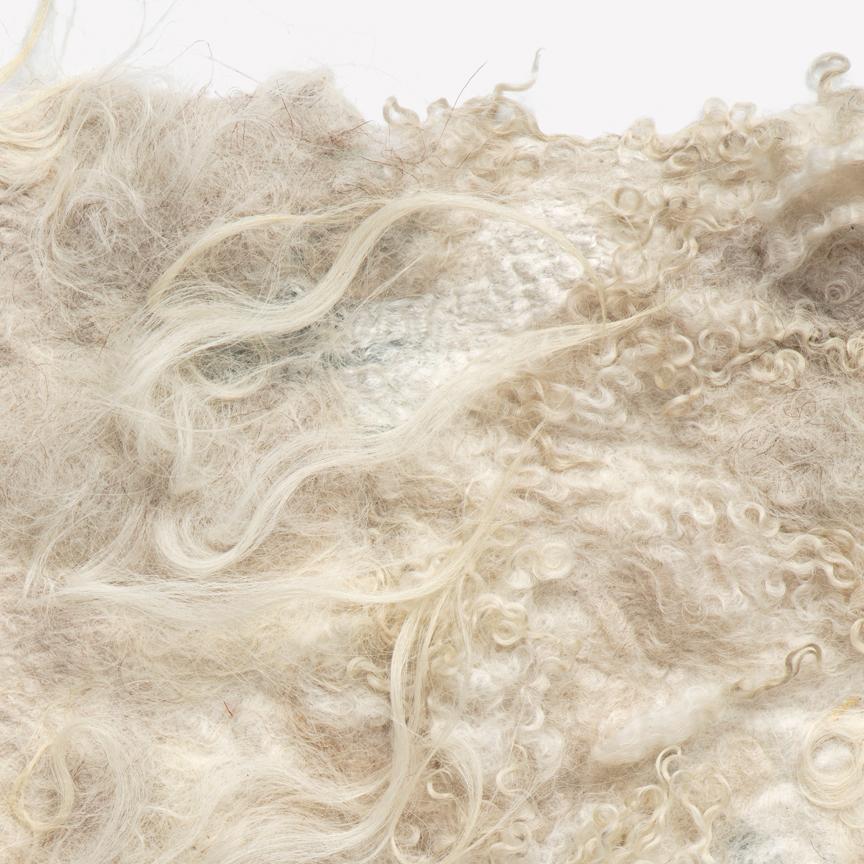 Maharam Pelt
Drenthe Heath by Claudy Jongstra
006 Salt

Named for the species shorn to create it, Drenthe Heath is a handmade felt by Dutch textile artist, Claudy Jongstra, who maintains a herd of sheep in the Dutch countryside along with a