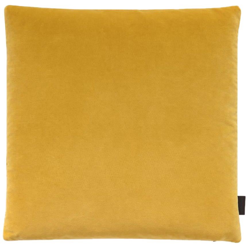 Maharam Pillow, Cotton Velvet For Sale