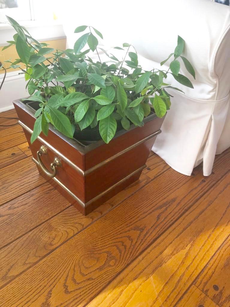 Mahogany and brass banded cachepot. One of a kind vintage custom wood and brass planter with handles, separate liner also with handles, and unusual Chippendale pierced removable top, United Sates, mid-20th century.
Dimensions: 14” square at top x