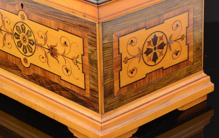Marquetry Box, lemon tree wood, palo santo, rosewood, mahogany. 19th