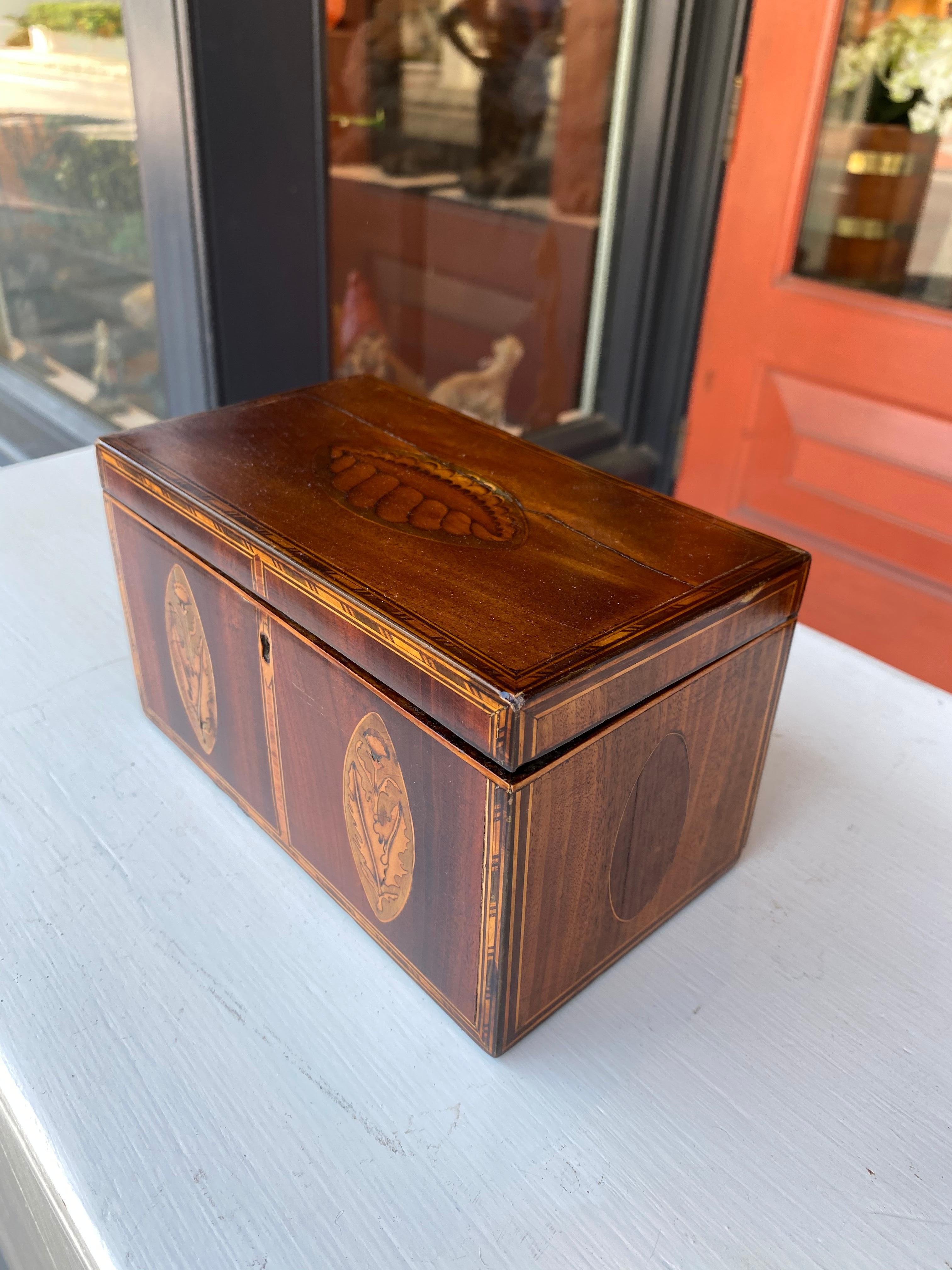 North American Mahogany and satin wood inlaid tea caddy with shell motif
