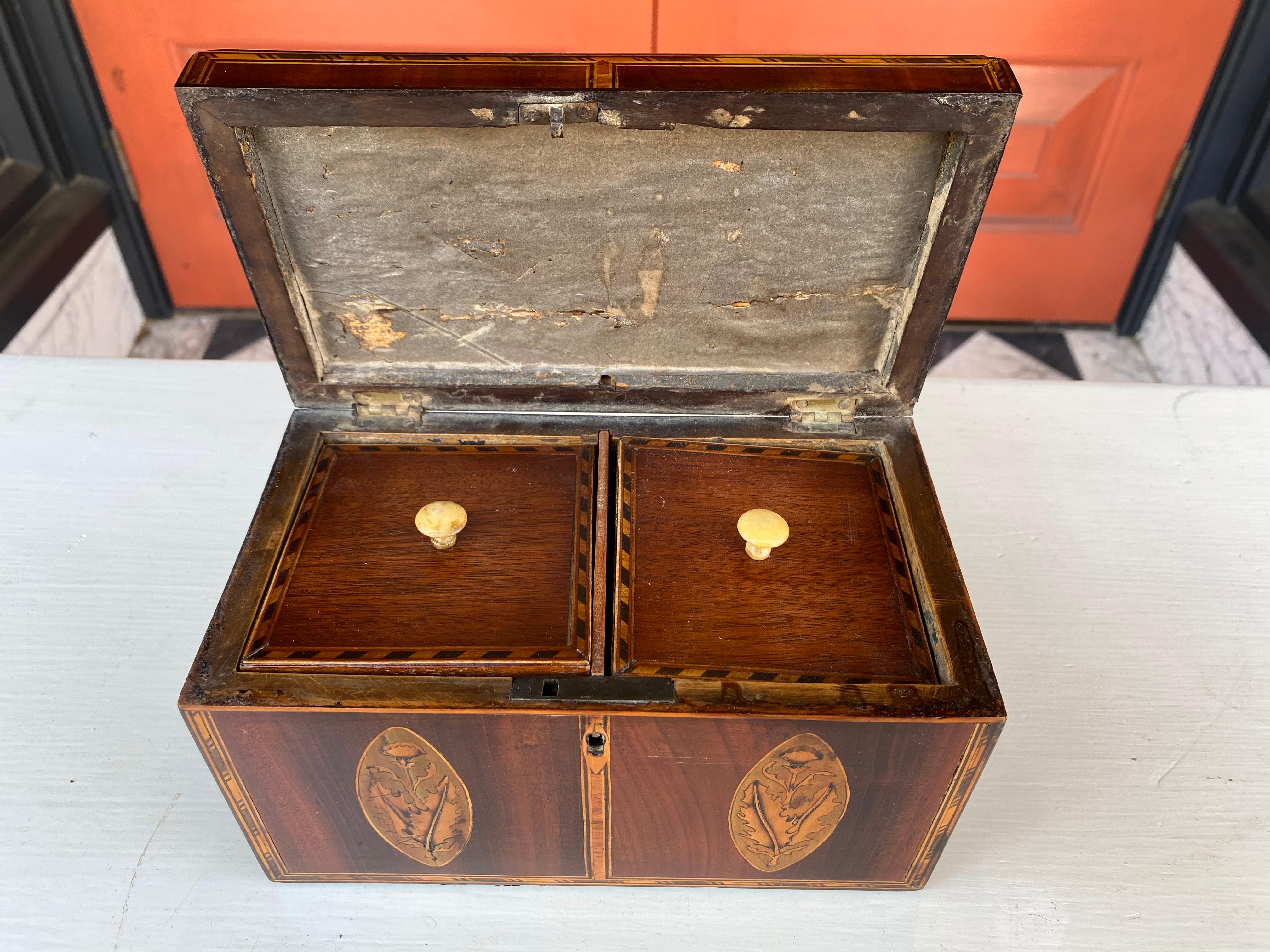 Mahogany and satin wood inlaid tea caddy with shell motif In Good Condition In Charleston, SC