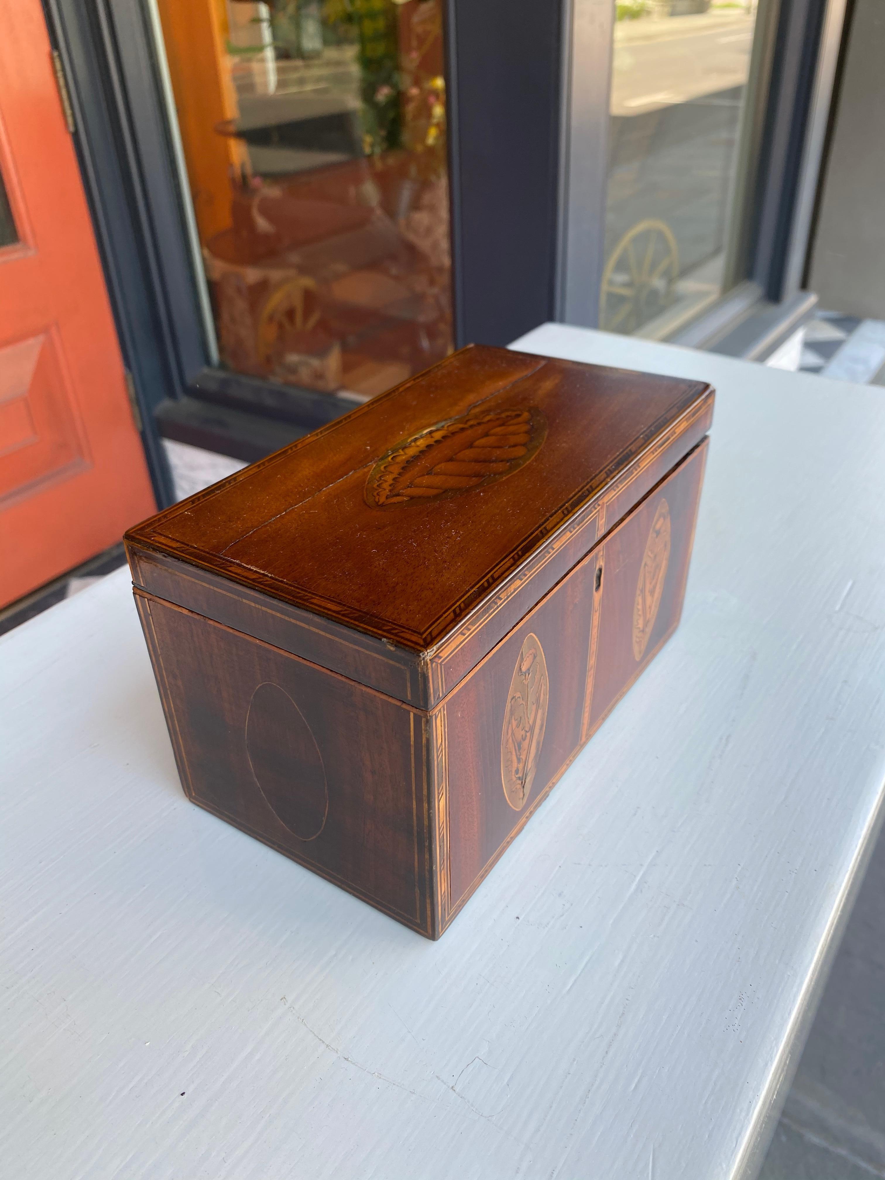 Late 18th Century Mahogany and satin wood inlaid tea caddy with shell motif