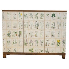 Mahogany Cabinet Covered with Nordens Flora Illustrated Paper