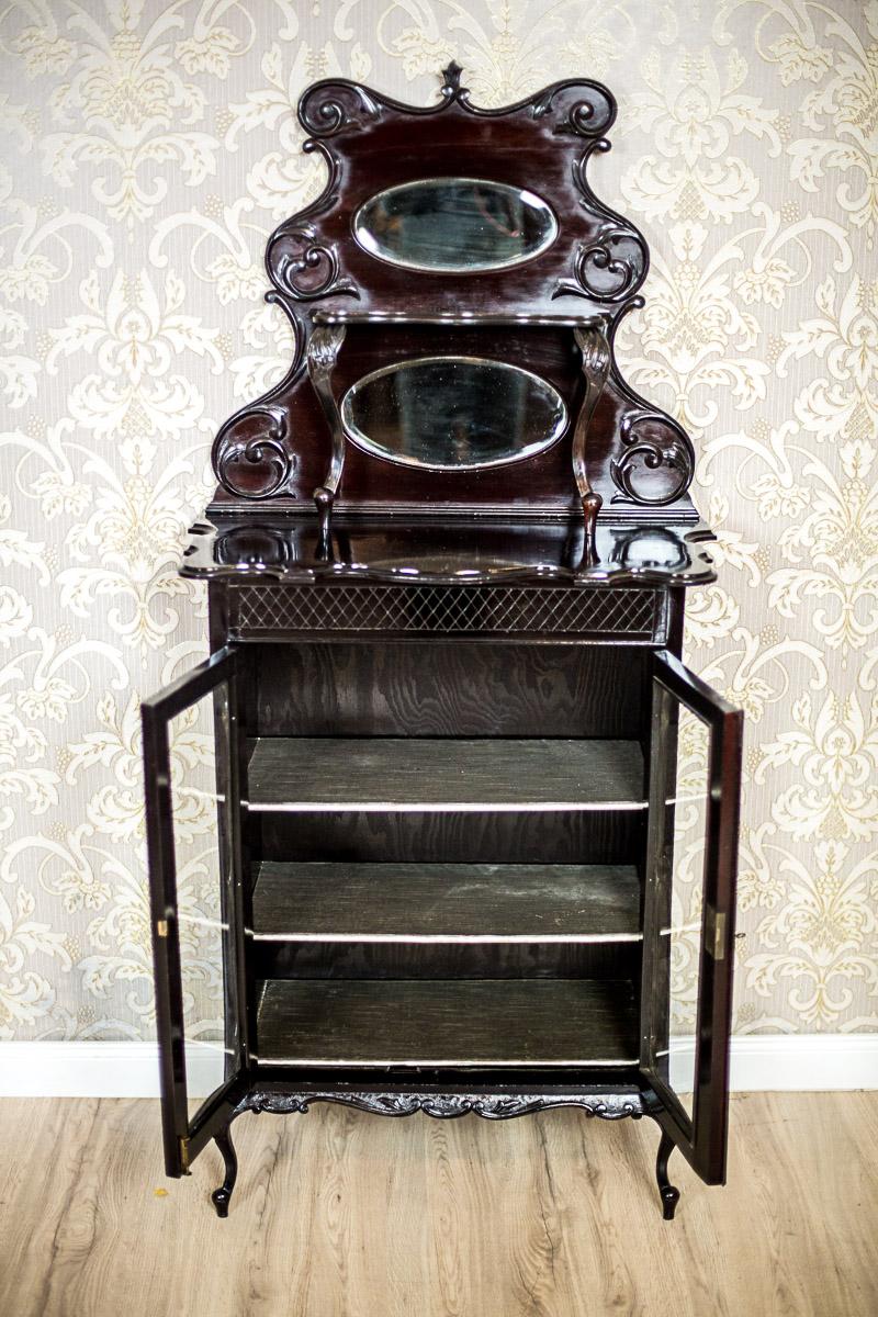 Ornate Mahogany Cabinet from the 19th Century in Bark Bronze For Sale 6