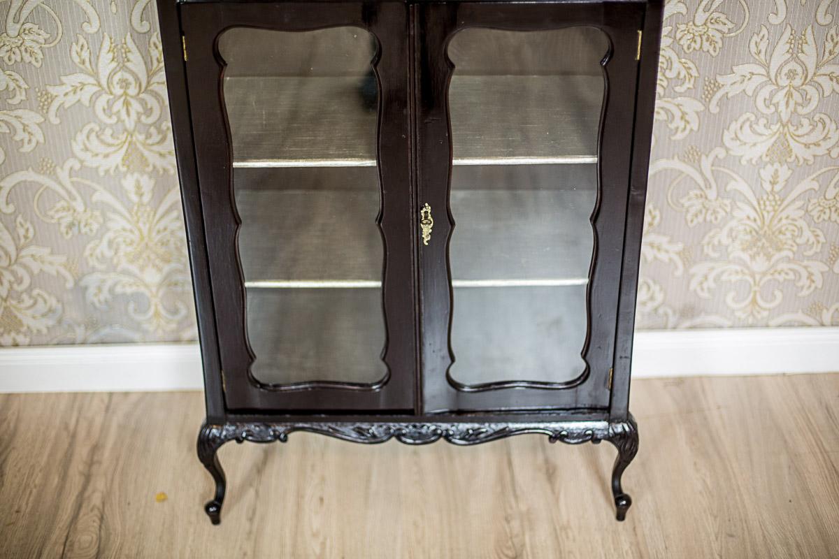 Veneer Ornate Mahogany Cabinet from the 19th Century in Bark Bronze For Sale