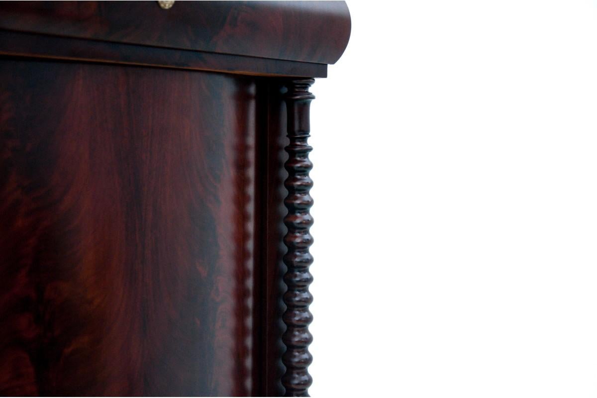 Mahogany Cabinet, Northern Europe, circa 1870 For Sale 3
