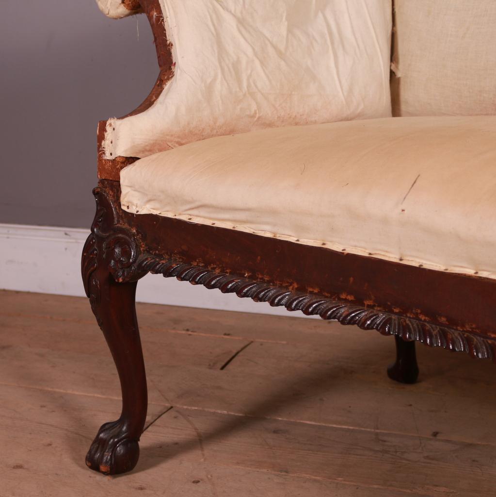 Small late 19th C mahogany camelback sofa with good carved ball and claw feet. 1880.

Seat height is 19