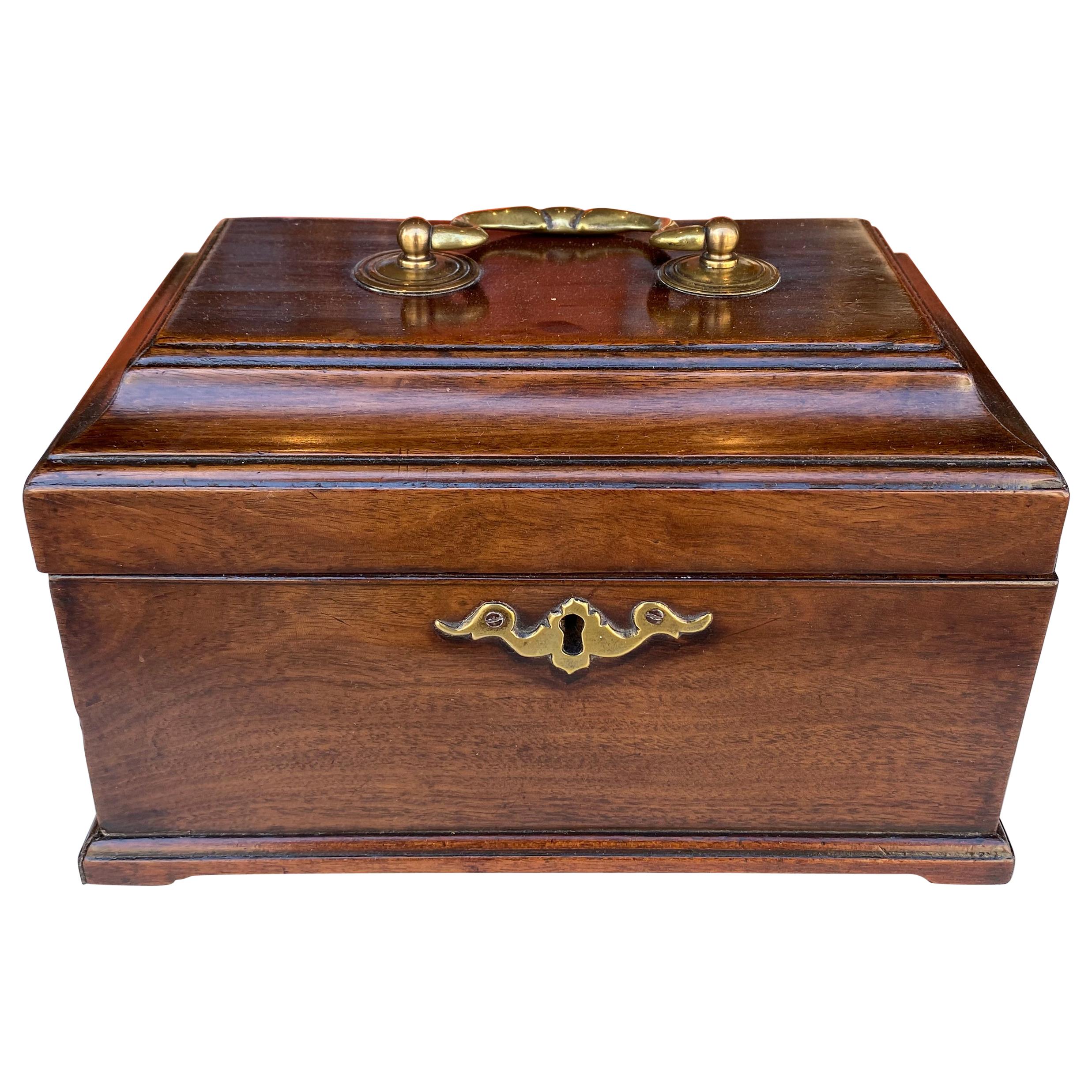 Mahogany Chippendale Tea Caddy