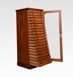Mahogany Collectors Cabinet