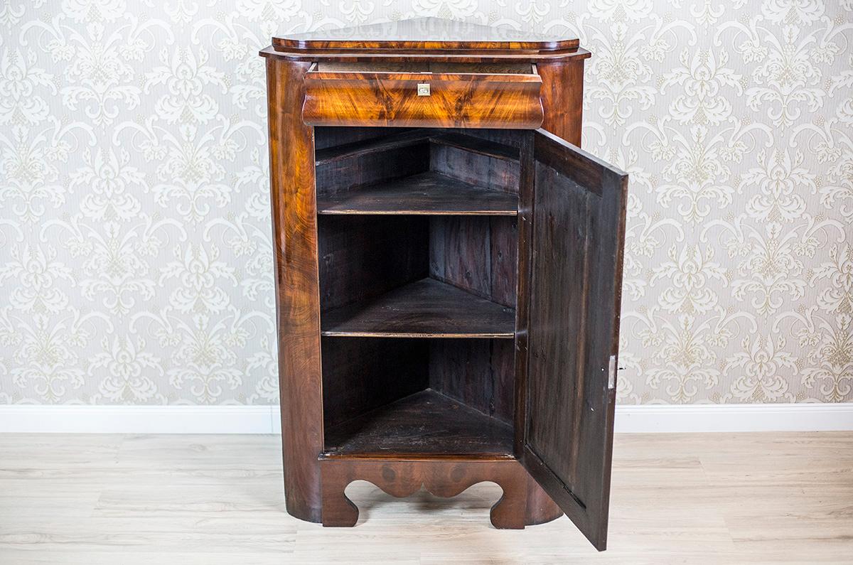 Scandinavian Mahogany Corner Cabinet, circa 1860