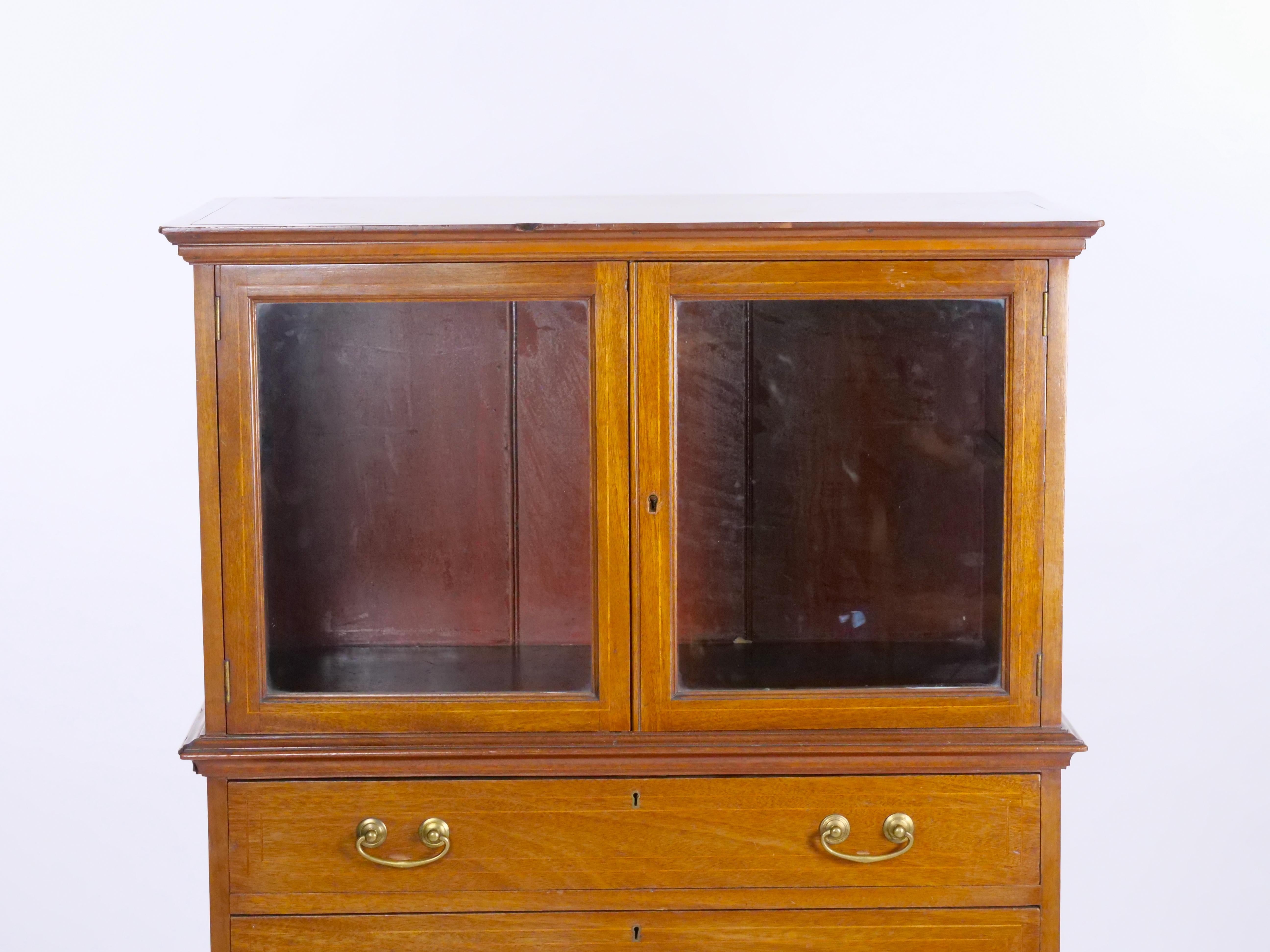 Hand-Carved Mahogany Display Cabinet With Five Pull Front Drawers For Sale