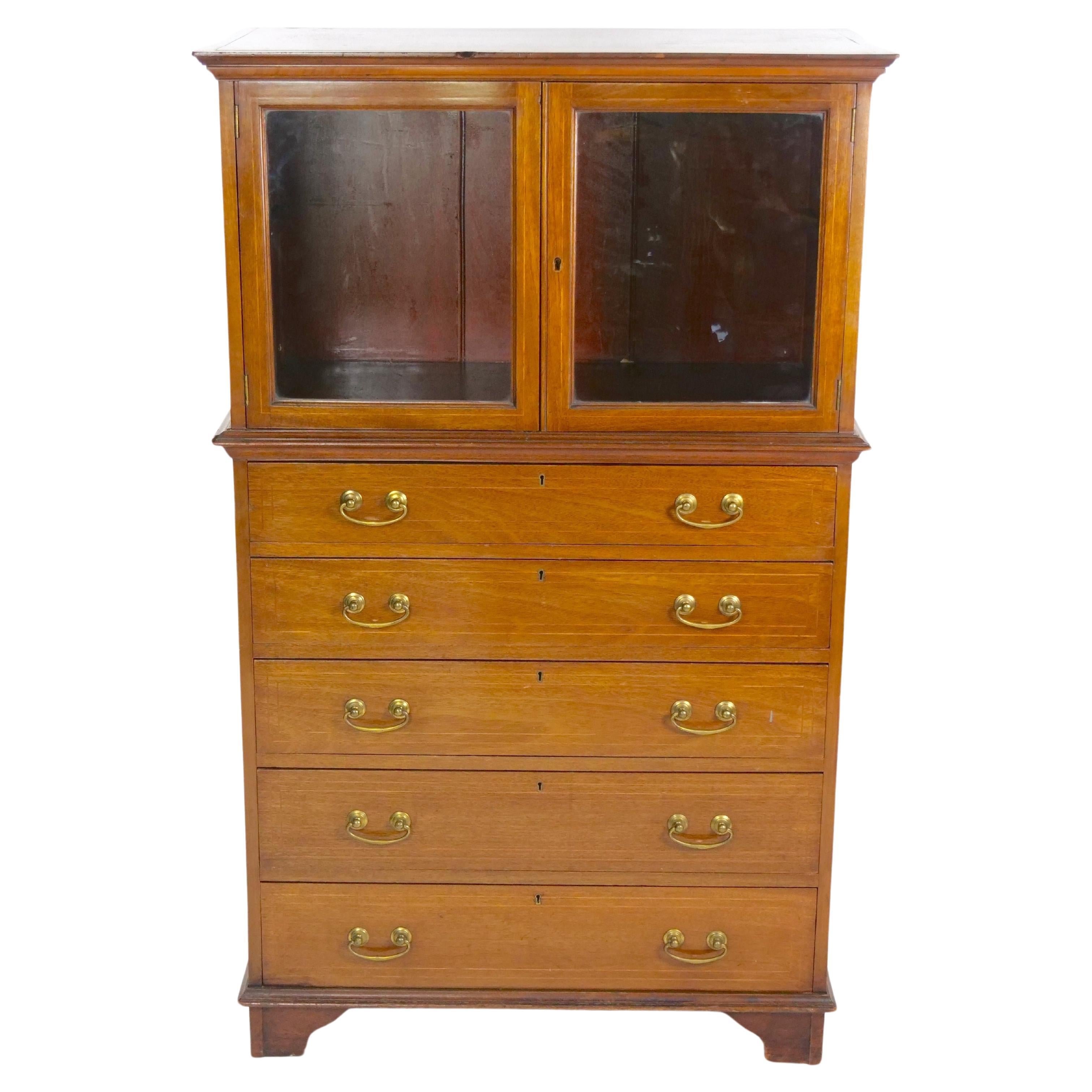 Mahogany Display Cabinet With Five Pull Front Drawers For Sale