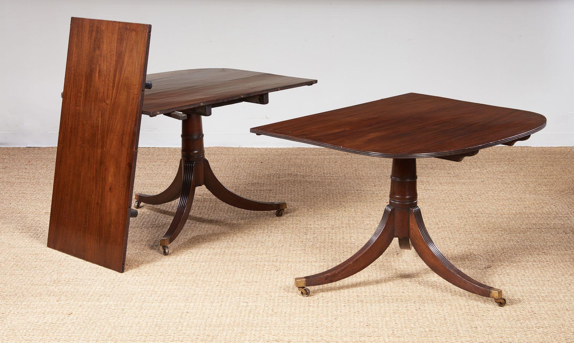 Mahogany Double Pedestal Reeded Edge Dining Table For Sale 4