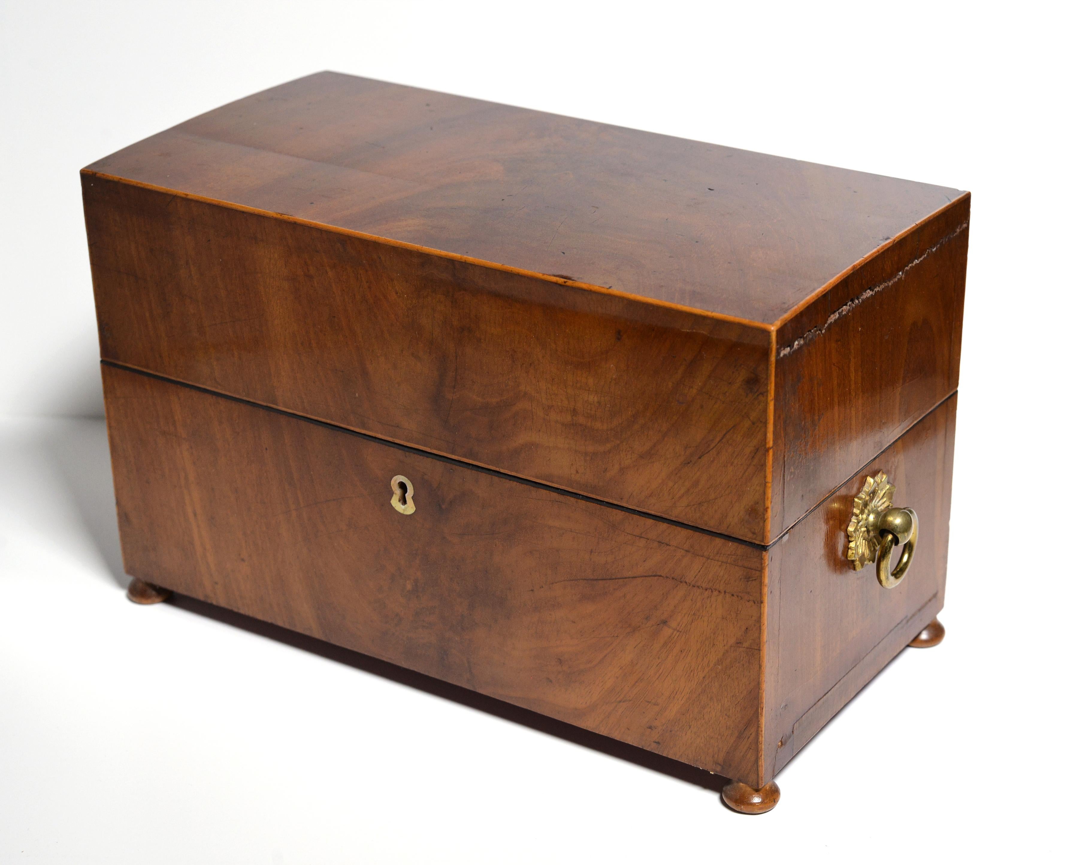 Hand-Carved Mahogany Empire Tea Caddy Wooden Casket Box with Glass early 19th century For Sale