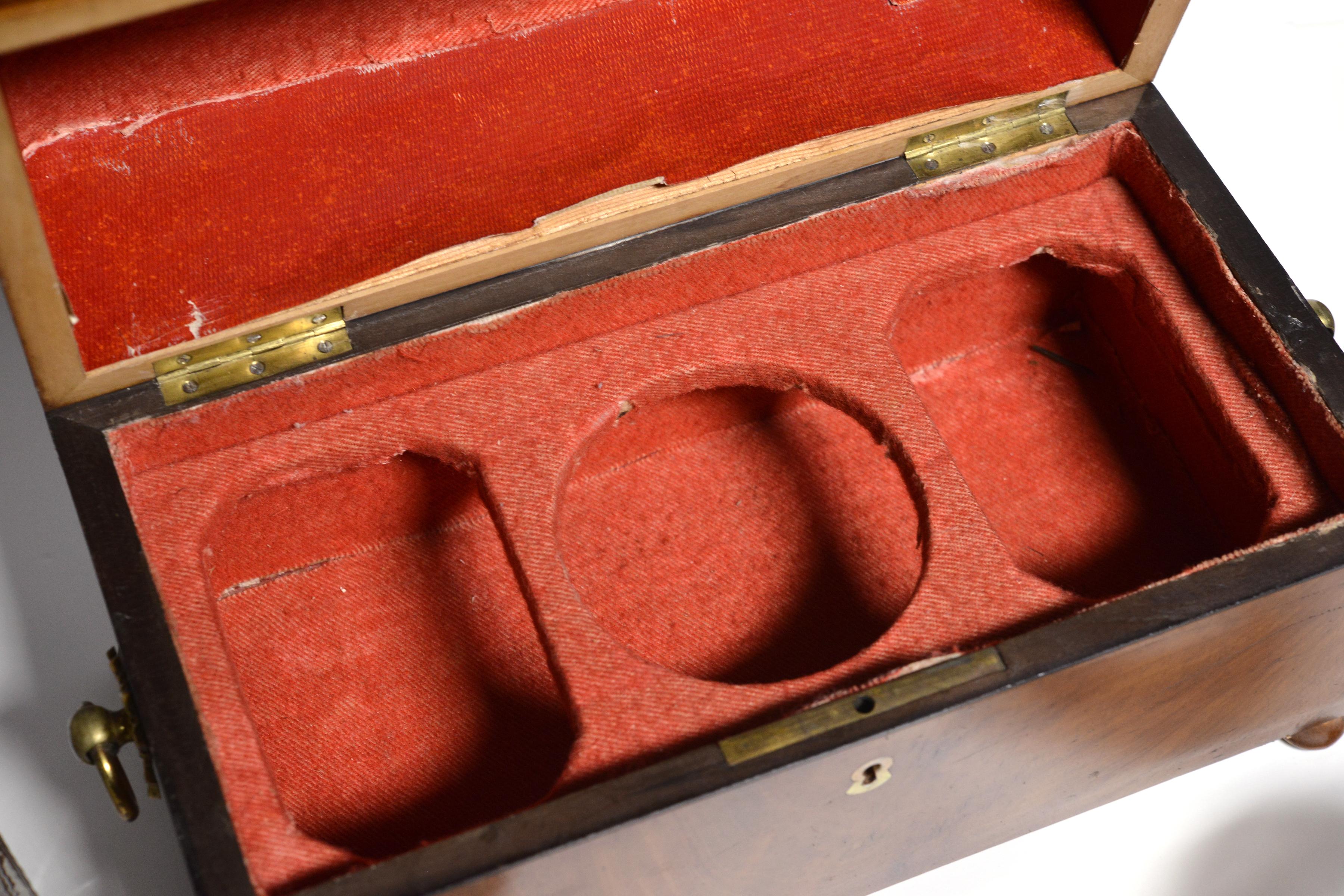 Mahogany Empire Tea Caddy Wooden Casket Box with Glass early 19th century For Sale 3