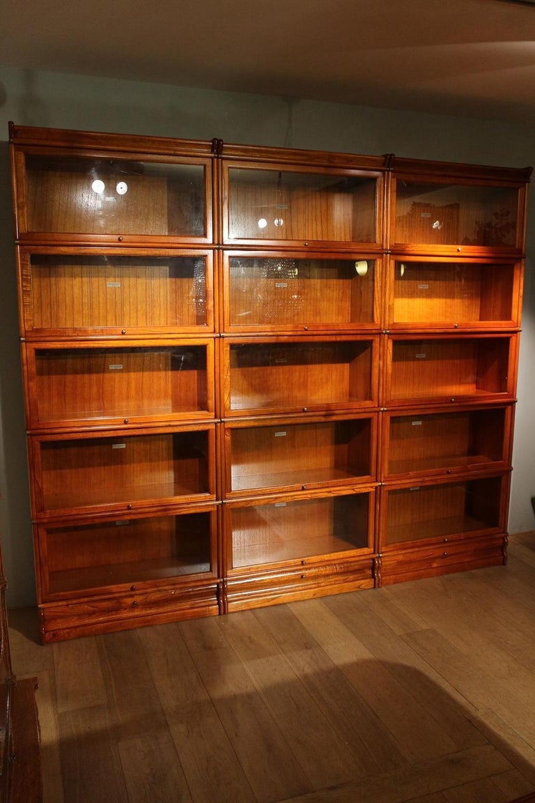 Mahogany Globe Wernicke Bookcase at 1stDibs