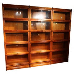 Mahogany Globe Wernicke Bookcase