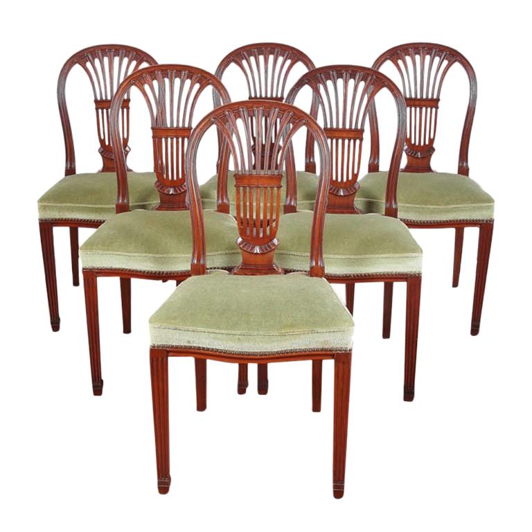 Mahogany Harp-Back Chairs