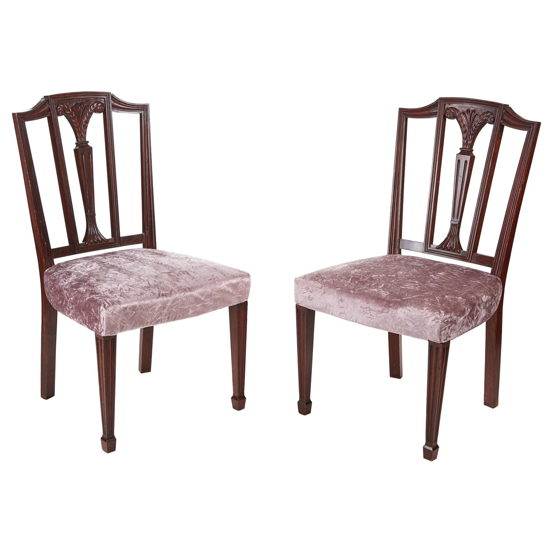 Antique Mahogany Hepplewhite Style Side Chairs For Sale