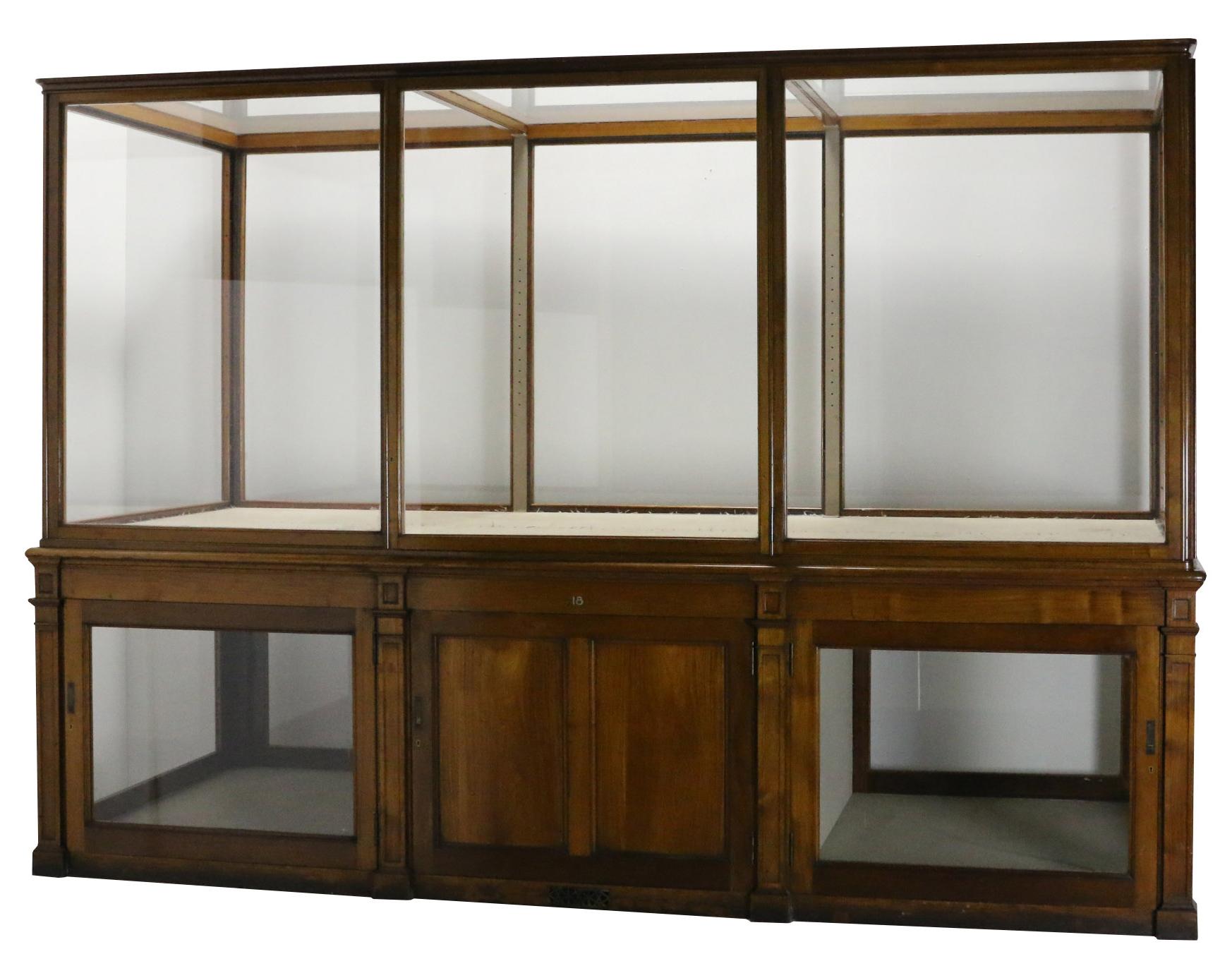 Edwardian Mahogany Museum Cabinet from the V & A Museum, London For Sale