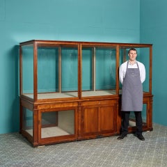Mahogany Museum Cabinet from the V & A Museum, London