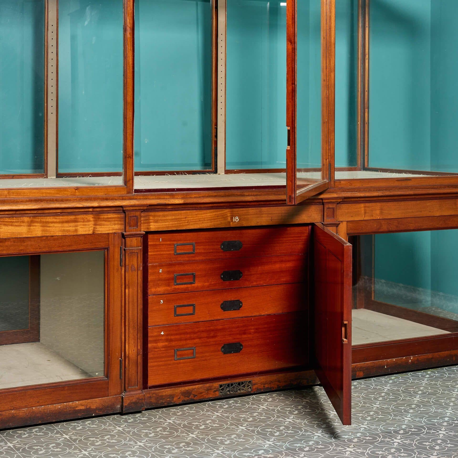 Armoire de musée du V & A Museum, Londres en vente 3