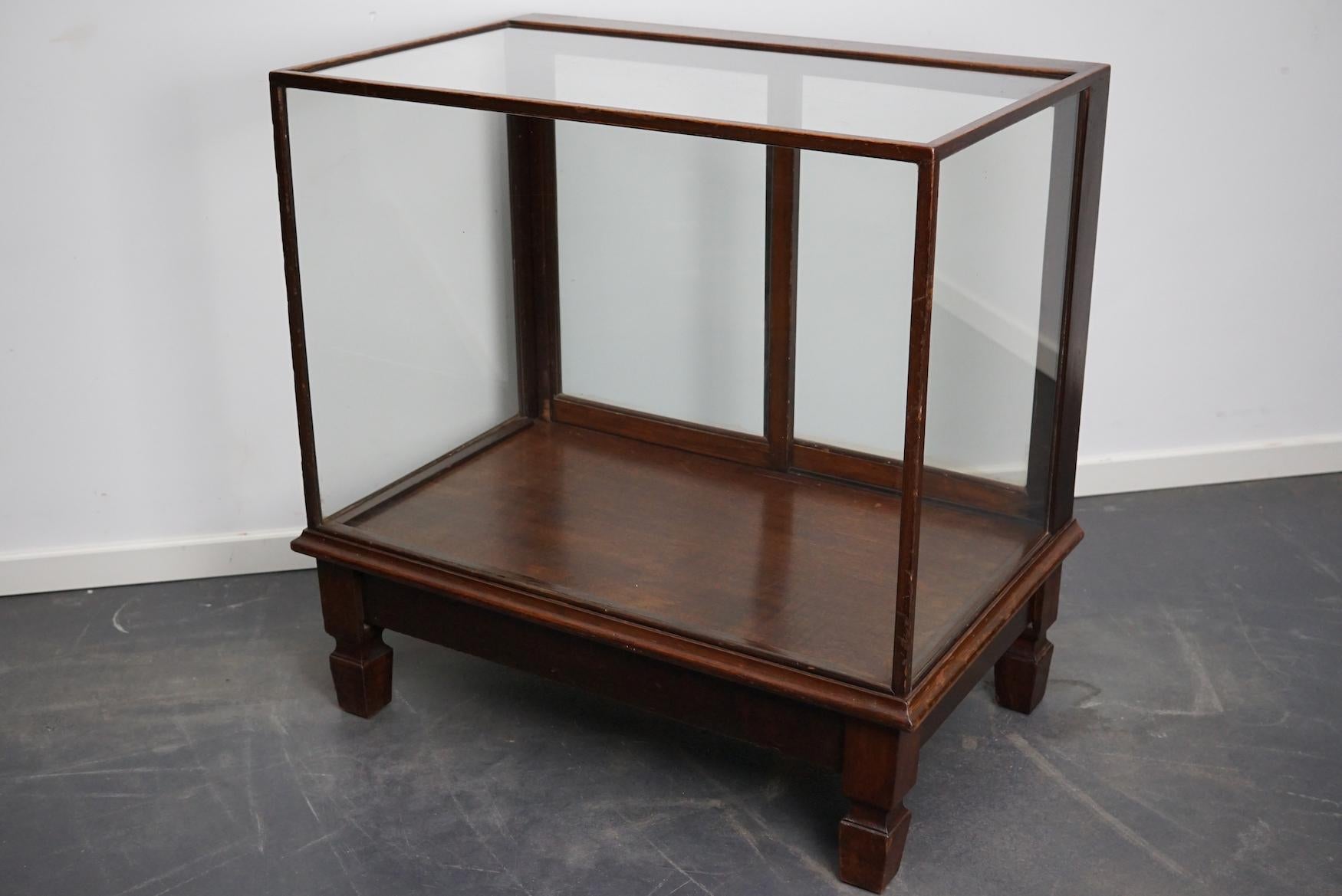 Mahogany Museum / Shop Display Cabinet or Vitrine, Early 20th Century For Sale 5