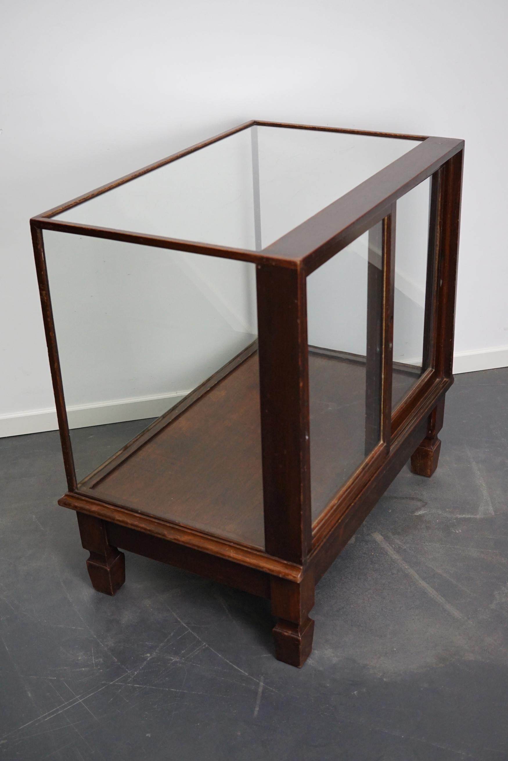 Mahogany Museum / Shop Display Cabinet or Vitrine, Early 20th Century For Sale 1