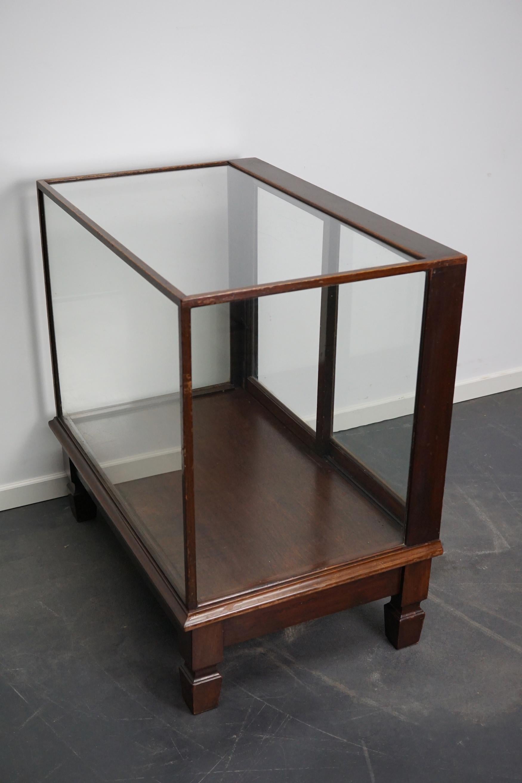 Mahogany Museum / Shop Display Cabinet or Vitrine, Early 20th Century For Sale 2