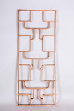 Mahogany Room Divider Wall Unit, by Ludvik Volak for Drevopodnik Holesov, 1960s