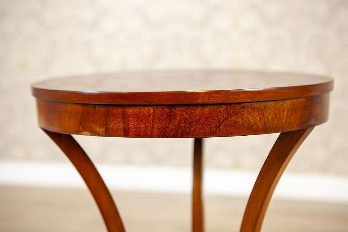 Mahogany Side Table from the Early 20th Century 1