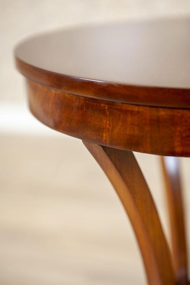 Mahogany Side Table from the Early 20th Century 2