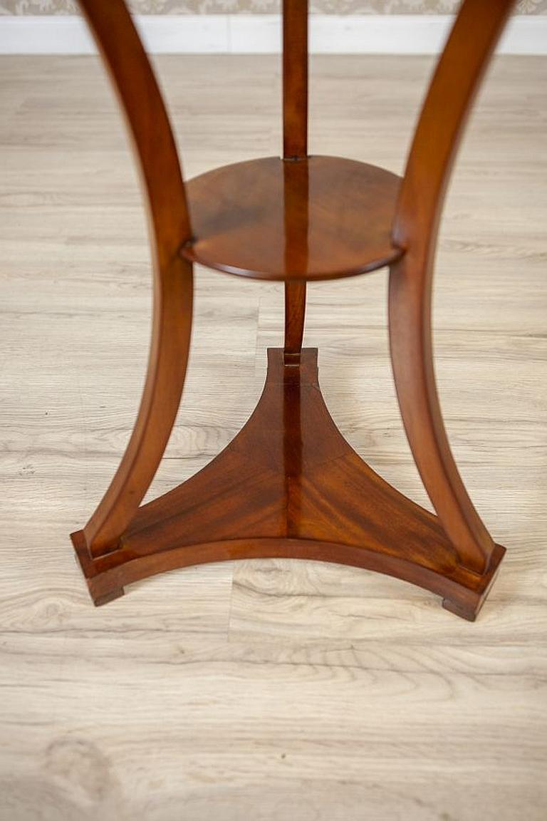 Mahogany Side Table from the Early 20th Century 4