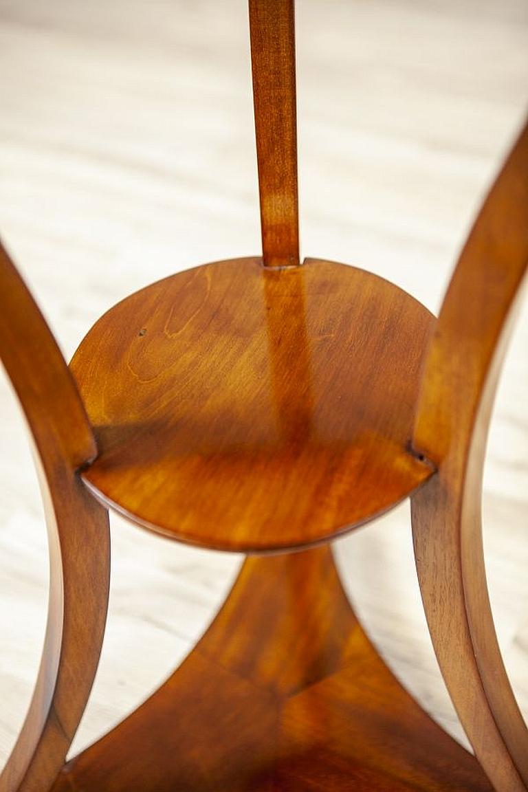 Mahogany Side Table from the Early 20th Century 5