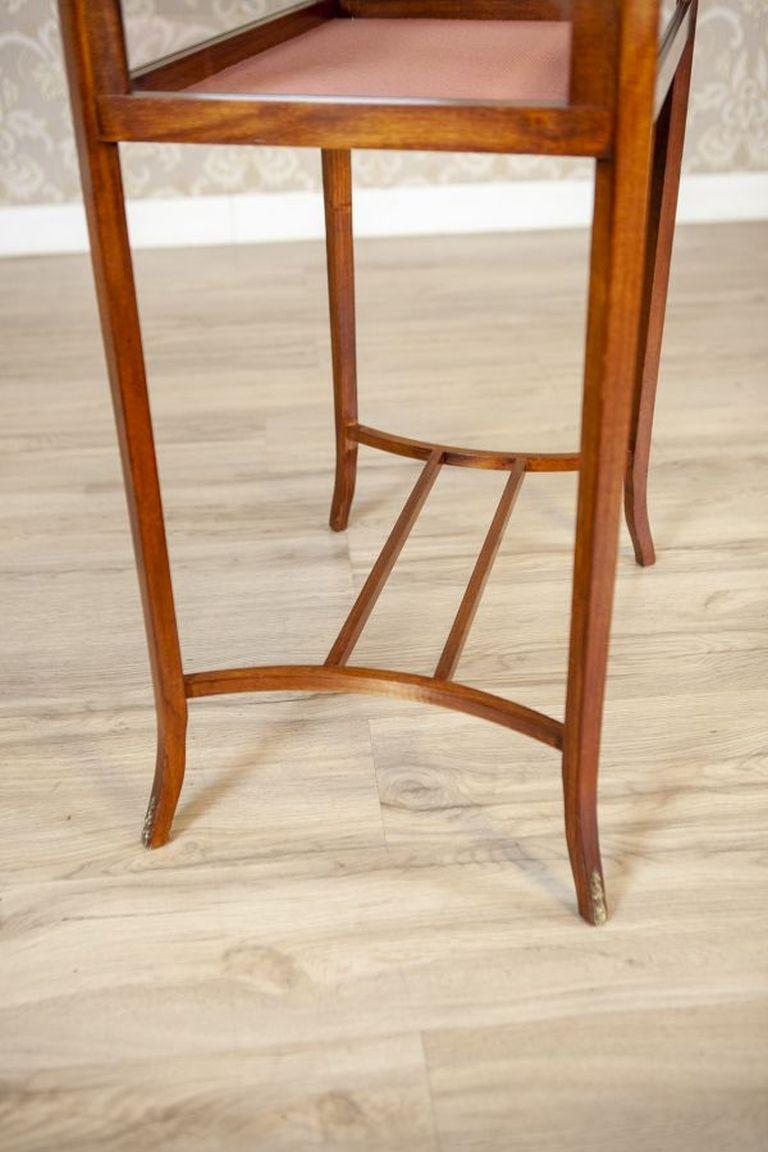 Table d'appoint/showcase/Display Cabinet en acajou du 19ème siècle en vente 1