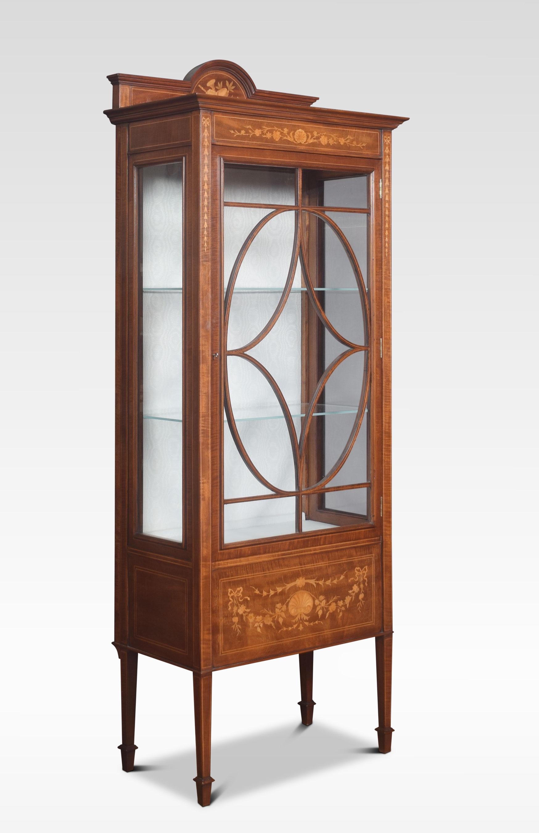 19th Century Mahogany Single Door Inlaid Display Cabinet