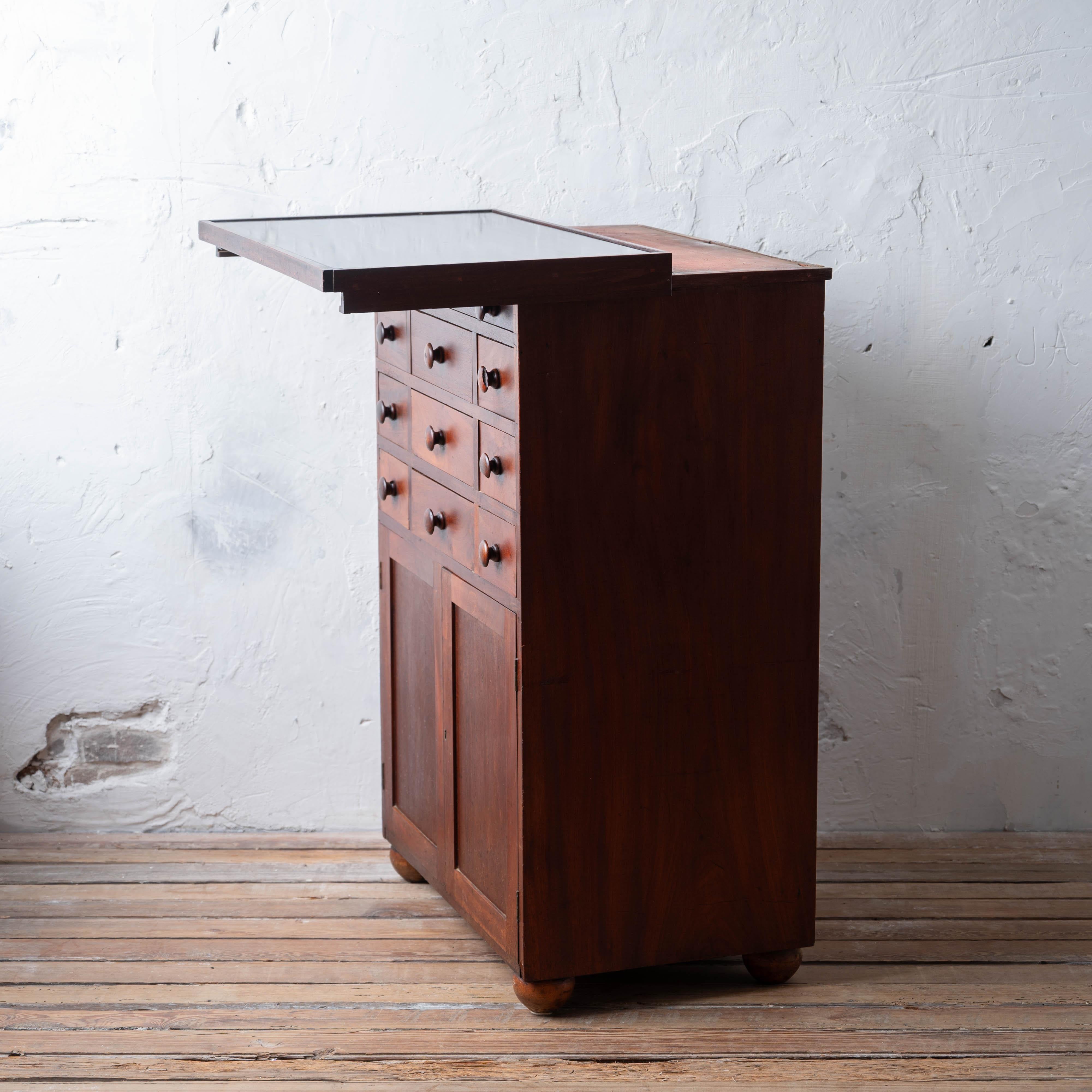 Mahogany Slate-Top Apothecary Cabinet, 19th Century For Sale 6